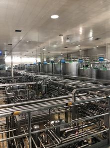 蒙牛工廠迎全球GDP代表參觀，以企業智慧夯實合作共贏之基